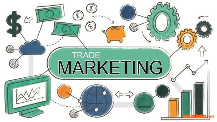 Tầm quan trọng của Trade Marketing trong chiến lược tiếp thị