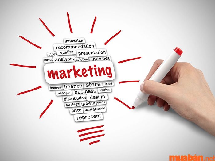 Sinh viên cần nắm vững các môn học chuyên ngành để hiểu rõ học Marketing ra làm gì