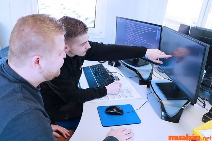 Vị trí Quản lý Dự án (Project Manager)