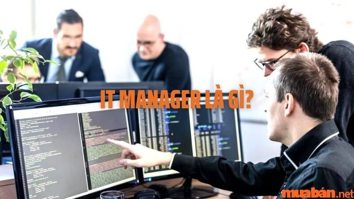 IT Manager có vai trò như thế nào?