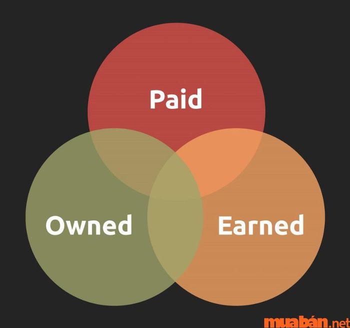 Sự khác biệt giữa Owned, Earned và Paid Media là gì?