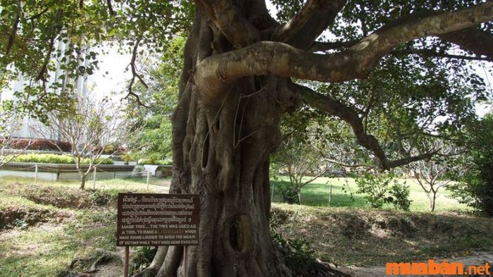 Cánh đồng chết Choeung Ek