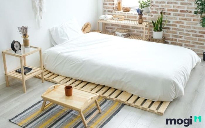 Bạn có thể trang trí phòng ngủ bằng các chậu cây cảnh nhỏ để mang lại không gian thoải mái và dễ chịu.