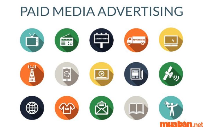 Tại sao Paid Media lại quan trọng trong doanh nghiệp?