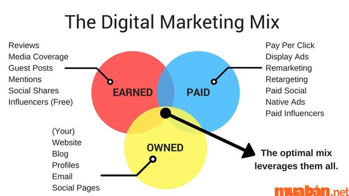 Mối liên hệ giữa Paid, Owned và Earned Media thể hiện như thế nào trong chiến lược truyền thông tổng thể?