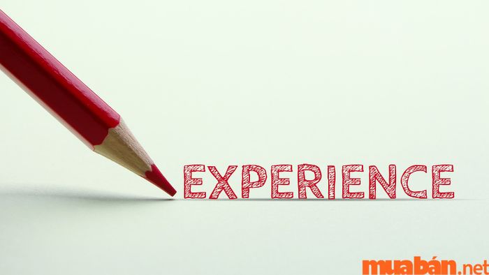 CV xin việc Marketing dành cho ứng viên
