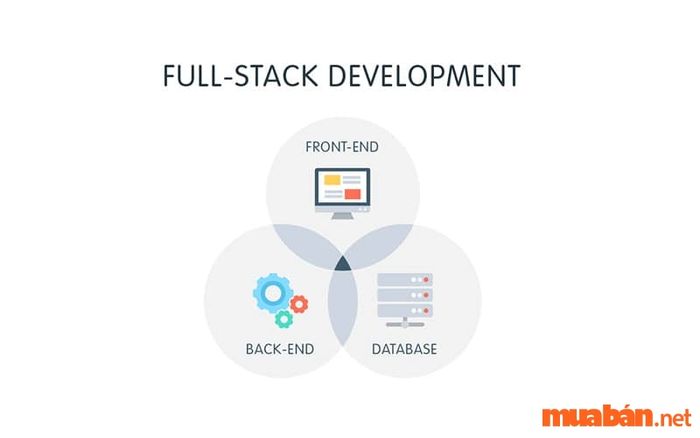 Những kiến thức và kỹ năng quan trọng mà Full Stack Developer cần phải trang bị là gì?