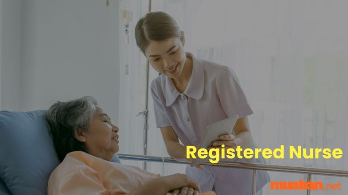 Registered Nurse là gì? Cùng khám phá những thông tin chi tiết về ngành nghề Registered Nurse