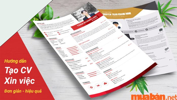 Mẫu CV xin việc Marketing