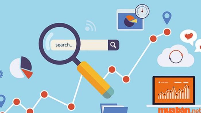 Các phương tiện truyền thông trong Paid Media là gì?