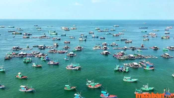 Lịch trình vui chơi ngày 2, buổi chiều dành cho các tín đồ khám phá