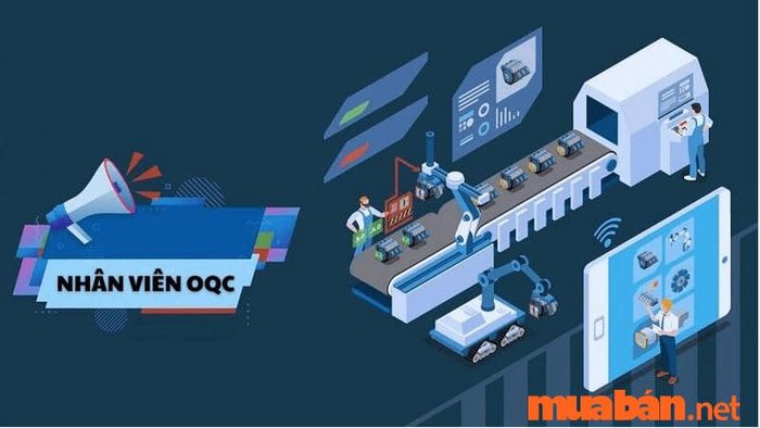 OQC là gì? Tìm hiểu về quy trình và vai trò của nhân viên OQC