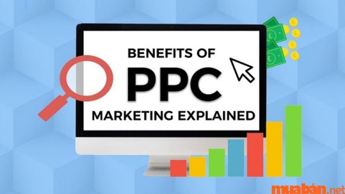 PPC và PPI trong Paid Media là gì?