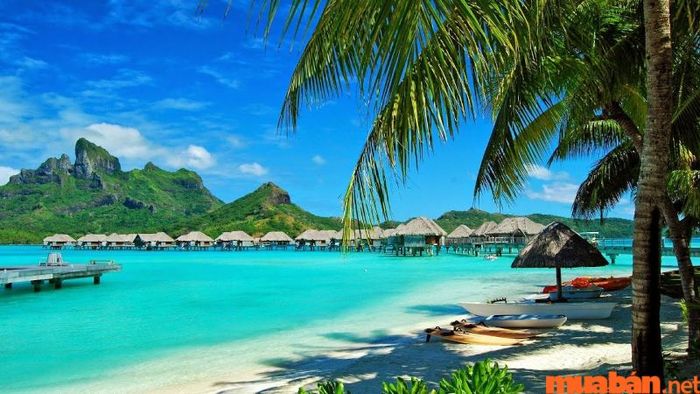 Kinh nghiệm du lịch Phú Quốc 4 ngày 3 đêm đầy đủ