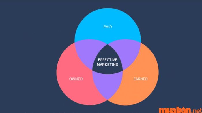 Việc kết hợp đúng cách Paid, Owned và Earned Media mang lại hiệu quả vượt trội trong chiến lược truyền thông, giúp thương hiệu gia tăng tầm ảnh hưởng và sự tin cậy từ khách hàng.