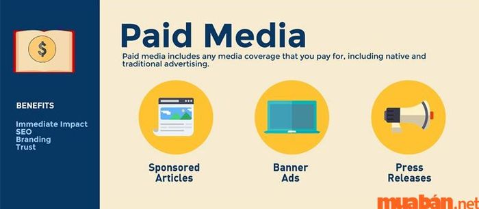 Khám phá khái niệm về Paid Media là gì?