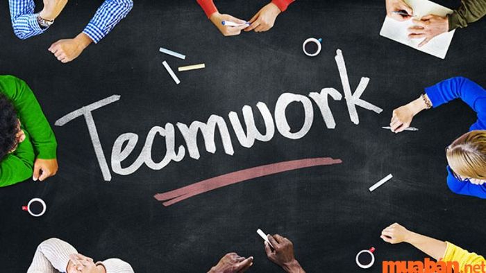 Kỹ năng làm việc nhóm là gì và tại sao nó quan trọng đối với Operations Manager?