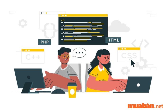 Công việc hàng ngày của một Full Stack Developer bao gồm những gì?