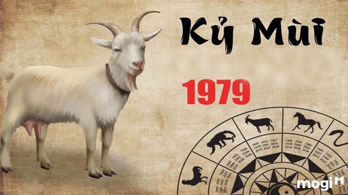 Tuổi Kỷ Mùi hợp với hướng nào?