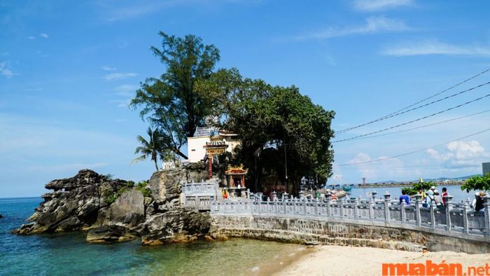 Lịch trình vui chơi ngày 1, buổi chiều cho gia đình