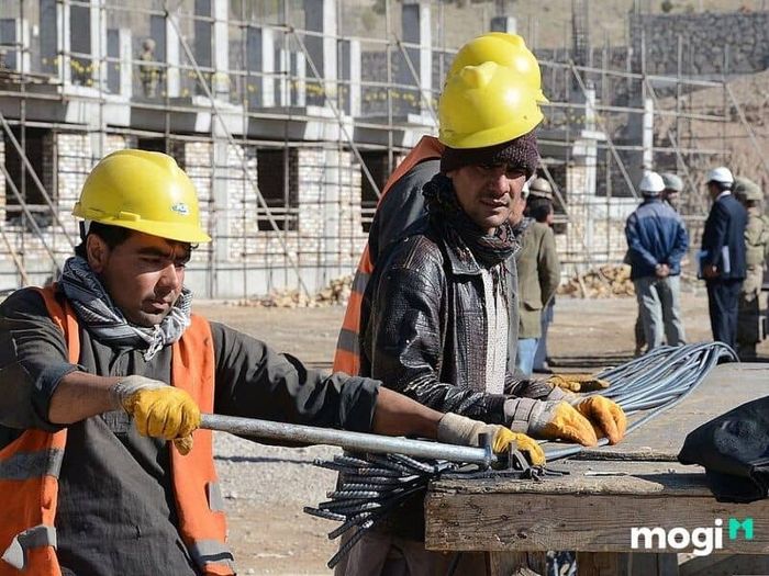 Đánh giá và kiểm tra công trình