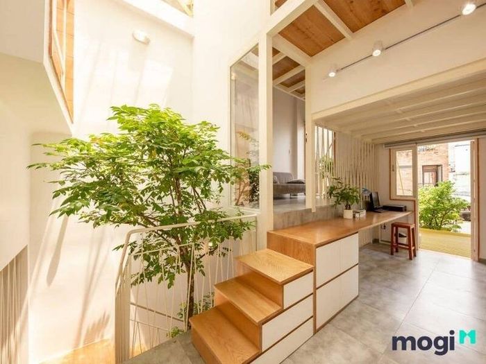 Phân chia không gian và phòng trong nhà