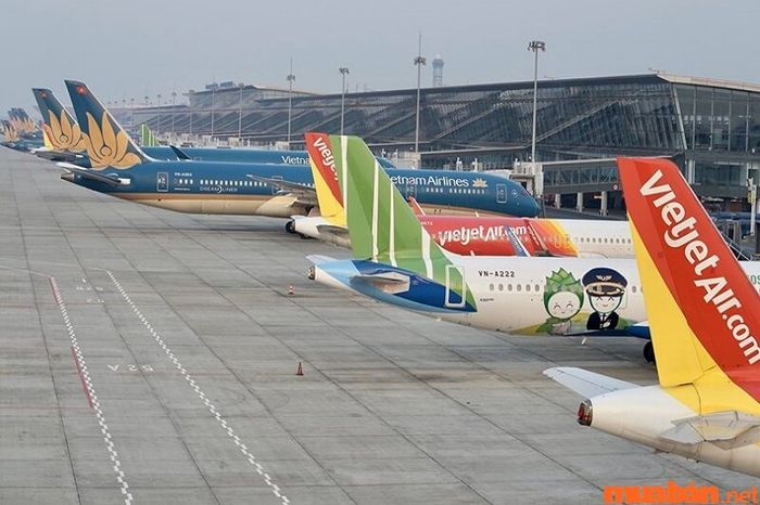 Di chuyển bằng máy bay đến Đà Nẵng khá thuận tiện và nhanh chóng.