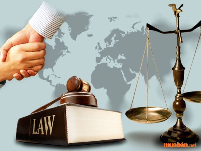 Môi trường làm việc và mức lương của chuyên viên pháp chế