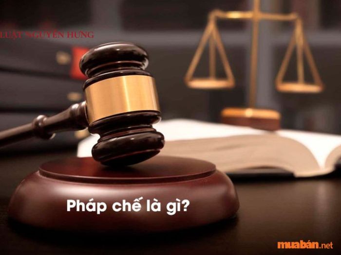 Khái niệm pháp chế là gì