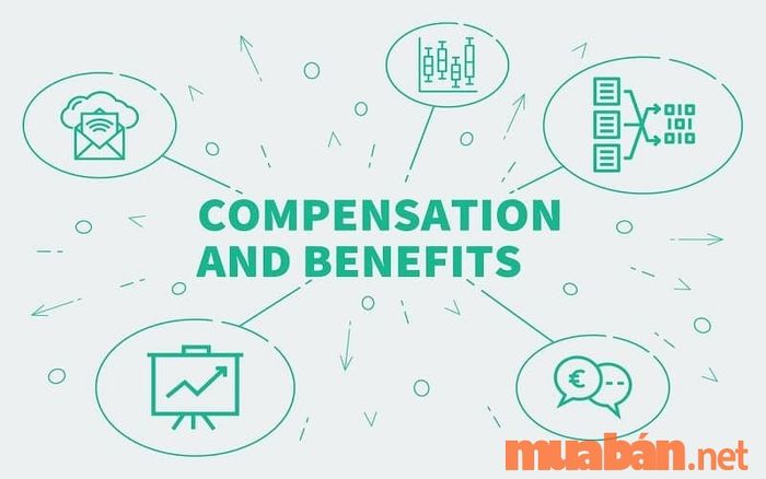 Khám phá khái niệm C&B là gì