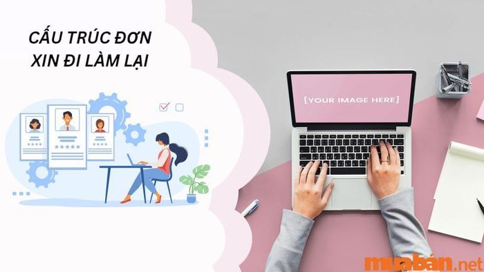 Cấu trúc của đơn xin đi làm lại