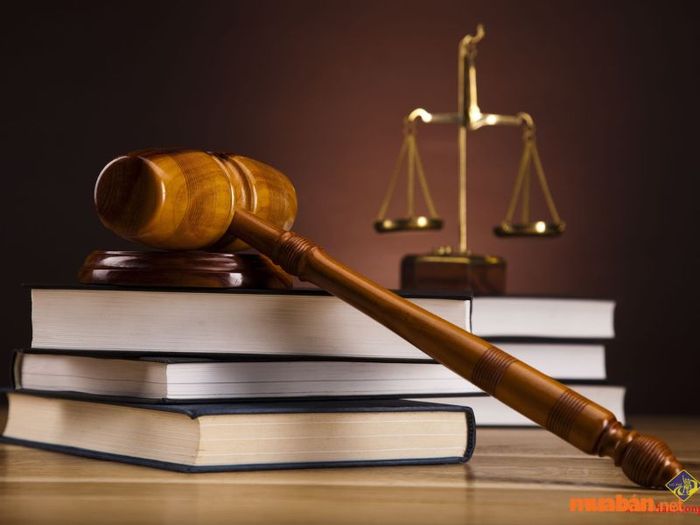 Điều chỉnh hành vi của cá nhân và tổ chức theo khuôn khổ pháp lý