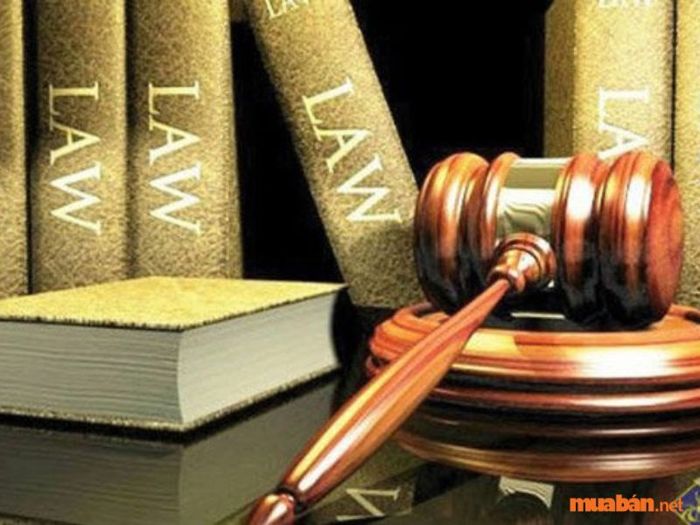 Phòng chống vi phạm pháp chế và vai trò của pháp chế trong xã hội