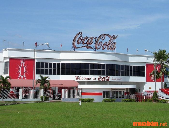 Coca Cola yêu cầu các kênh trung gian marketing phải đảm bảo những yếu tố gì để đạt được thành công?
