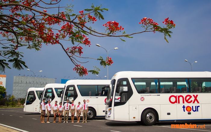 Travel agency là gì? Tìm hiểu Công ty Anex Việt Nam