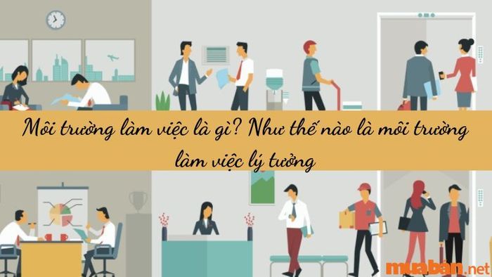 Môi trường làm việc là gì? Một môi trường làm việc lý tưởng cần có yếu tố gì?
