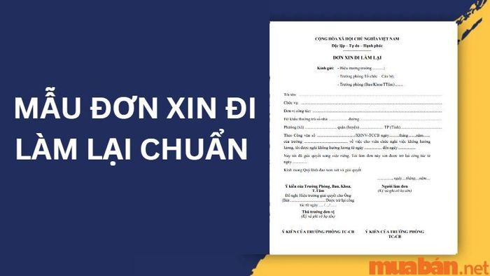 Danh Sách Mẫu Đơn Xin Đi Làm Lại – Hướng Dẫn Cấu Trúc và Những Điều Cần Lưu Ý
