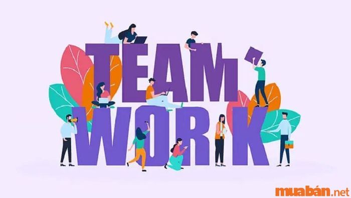 Môi trường làm việc là gì? Làm thế nào để xây dựng môi trường làm việc lý tưởng