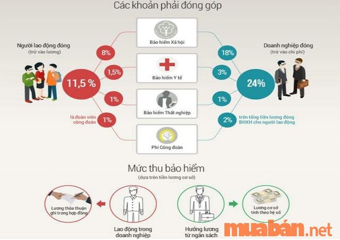 Quản lý việc đóng các loại bảo hiểm cho nhân viên