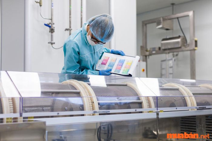 Doanh nghiệp đầu tư vào sản xuất nhờ những lợi ích mà trung gian Marketing mang lại