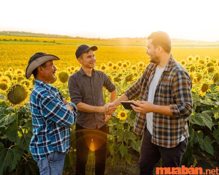 Vì sao bạn nên chọn học ngành kinh doanh nông nghiệp?