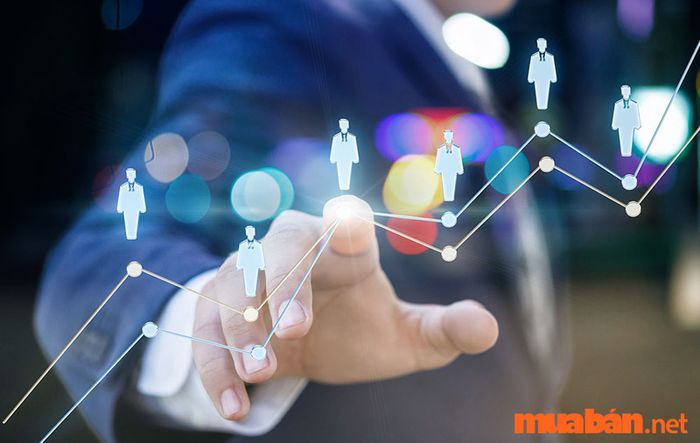 Để tìm được công việc phù hợp, sinh viên mới ra trường cần chủ động theo dõi các xu hướng tuyển dụng mới nhất trong ngành.