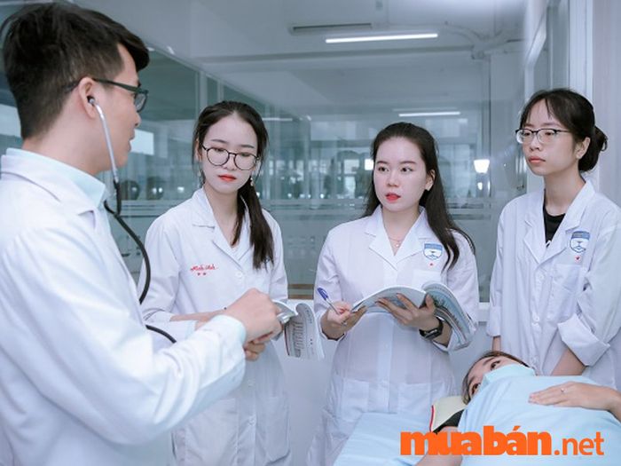 Y sĩ mới tốt nghiệp cần không ngừng học hỏi và nâng cao kiến thức để bù đắp sự thiếu hụt kinh nghiệm.
