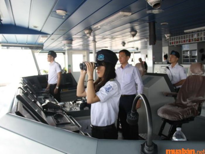 Chuyên viên hoạch định kế hoạch sản xuất