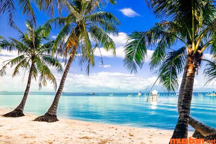 Đừng quên chuẩn bị đầy đủ các vật dụng cần thiết để chuyến đi biển thêm phần trọn vẹn và thoải mái.
