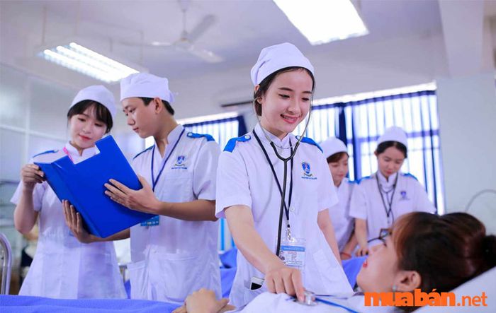 Hiện nay, y sĩ được phân thành 2 nhóm chính: Y sĩ chưa được cấp phép hành nghề và Y sĩ có giấy phép hành nghề.