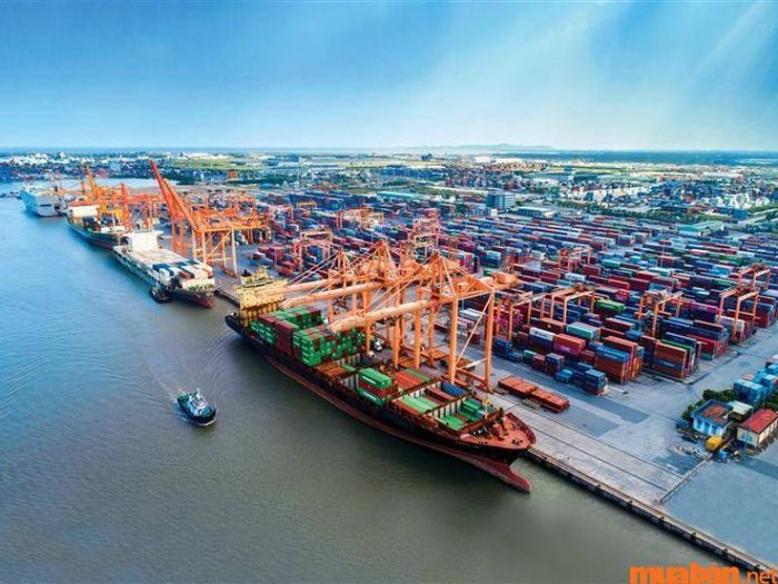 Nhu cầu tuyển dụng lao động trong lĩnh vực kinh tế vận tải biển hiện nay rất lớn.