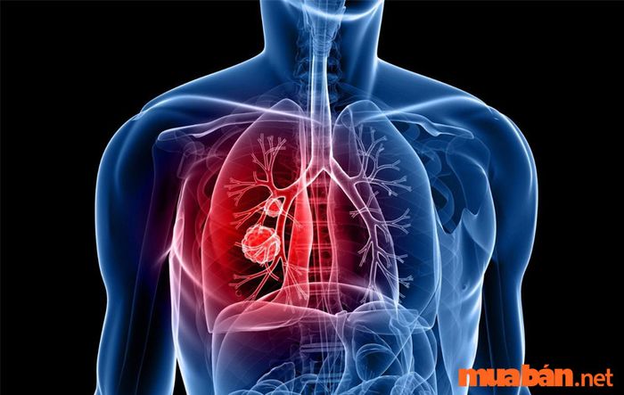 Hiểu rõ về cơ thể con người là một yếu tố thiết yếu đối với y sĩ để có thể thực hiện công việc một cách chính xác và hiệu quả.