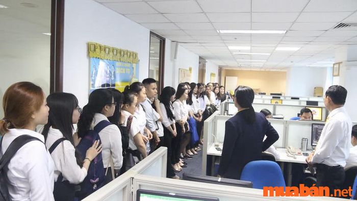 Bạn muốn theo học ngành đầu tư tài chính nhưng không biết nên học ở trường nào?