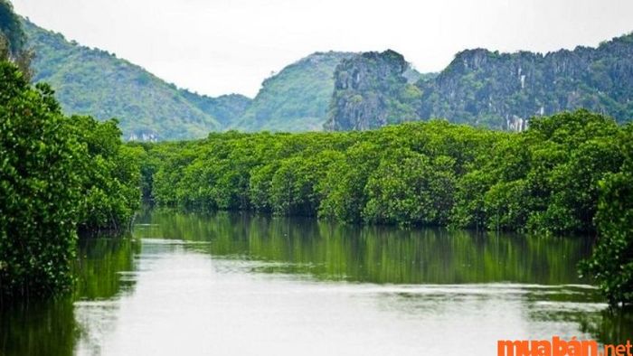 Khu du lịch sinh thái Đại Hợp